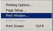 File Menu - Print options